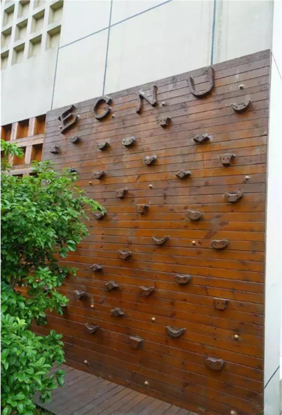 Outdoor climbing frame 1